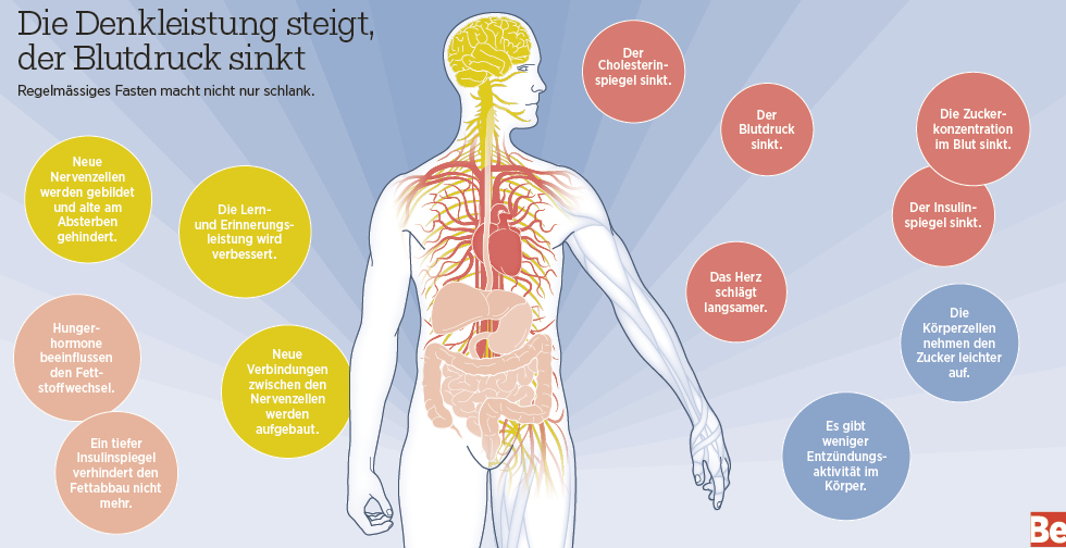 Regelmässiges Kurzfasten stärkt unsere Abwehr, führt zum garantierten Abnehmen und stellt den Stoffwechsel und unsere „Energiezentrale“ um