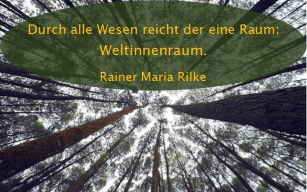 Übergänge und Zwischenräume im&nbsp;Alltag