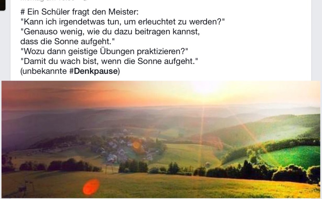 In seinem Kerne ist alles Dasein Wohlsein… Erleuchtung?